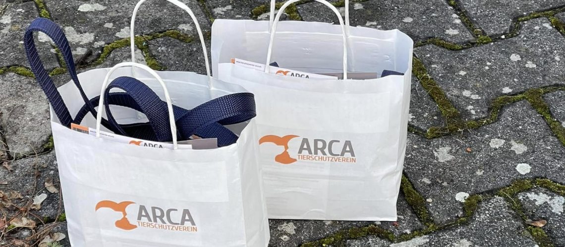 484498663_954235743486879_4820637575000610175_n