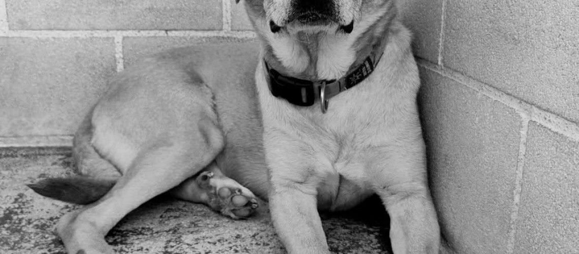 647557278_1222351926675258_7027654356870176769_n