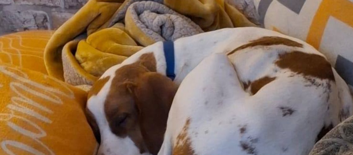 657264699_1234692668774517_1888976421330760194_n