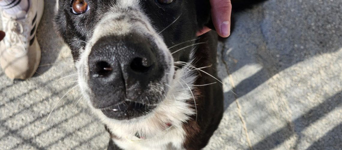 683422fdcb13f8.363900301748247293