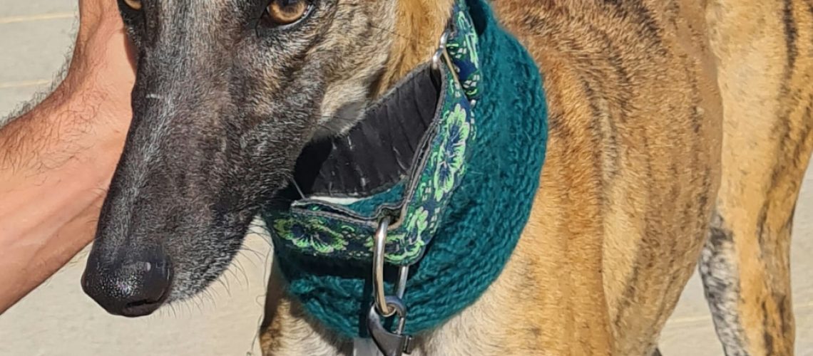 PHOTO-2024-10-27-21-41-14_1