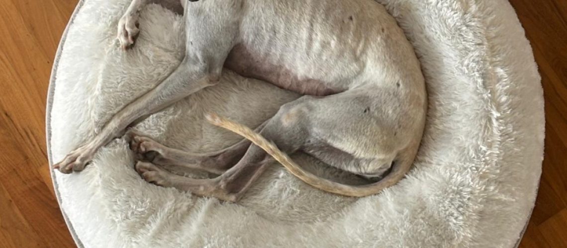 PHOTO-2025-06-13-15-22-02 (2)