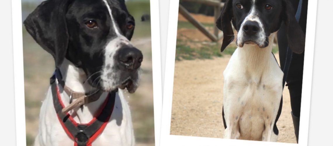 output_1761504672907